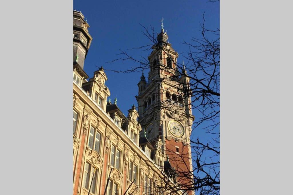 Appartement Grande Chaussee Lille Dış mekan fotoğraf